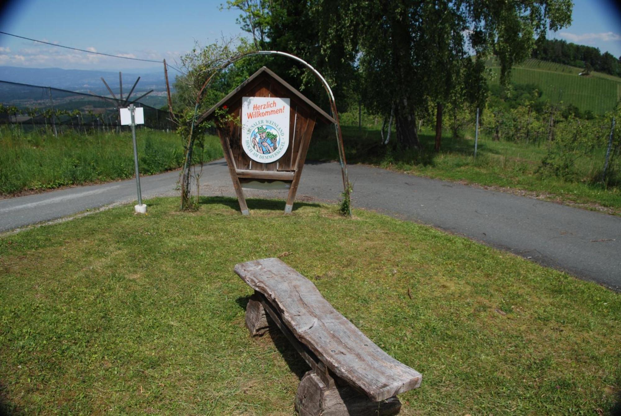 Naturpark-.Weinbergferienhaus Китцек им Заусал Екстериор снимка